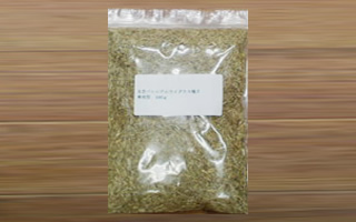 追い蒔き用 冬芝ライグラス種子1kg